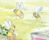 Bee A Friend To Pollinators Video Link