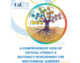 Critical Biliteracy – CABE