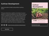 Cultivar Development