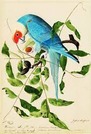 John James Audubon quiiz