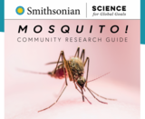 Mosquito! How Can We Ensure Health For All From Mosquito-borne Diseases?