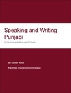 Speaking and Writing Punjabi: Introductory Punjabi Workbook