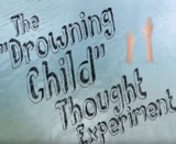 The Drowning Child: A Philosophical Thought Experiment