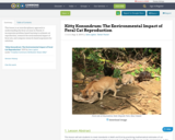 Kitty Konundrum: The Environmental Impact of Feral Cat Reproduction