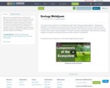 Ecology WebQuest