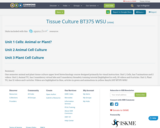 Tissue Culture BT375 WSU