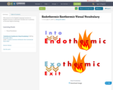 Endothermic Exothermic Visual Vocabulary
