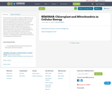 SEMINAR: Chloroplast and Mitochondria in Cellular Energy