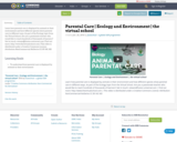 Parental Care | Ecology and Environment | the virtual school