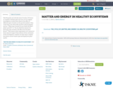 MATTER AND ENERGY IN HEALTHY ECOSYSTEMS