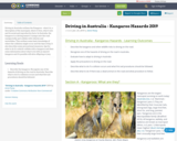 Driving in Australia - Kangaroo Hazards 2019