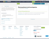 Photosynthesis Lab Investigation