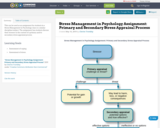 Stress Management in Psychology Assignment: Primary and Secondary  Stress Appraisal Process