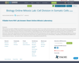 Biology Online Mitosis Lab:  Cell Division in Somatic Cells