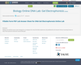 Biology Online DNA Lab:  Gel Electrophoresis