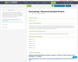 Accounting - Financial Analysis Project