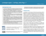 OER-UCLouvain: Lombalgies aiguës : « red flags, yellow flags  ?