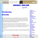 Vocabulary Words: Animals and Insects