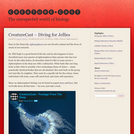 CreatureCast – Diving for Jellies