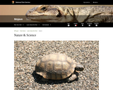 Mojave National Preserve Kid's Web Page