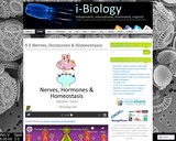 6.5 Nerves, Hormones & Homeostasis