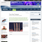 NOVA: Tour the Tongue