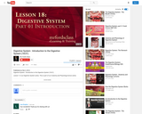 The Digestive System : Introduction to the Digestive System (18:01)
