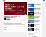 The Male Reproductive System : Introduction (19:01)