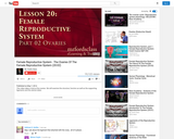 The Female Reproductive System : The Ovaries (20:02)
