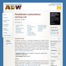 Paralithodes camtschatica: Information