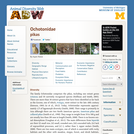 Ochotonidae: Information