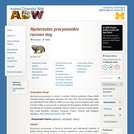 Nyctereutes procyonoides: Information