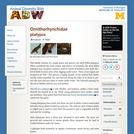 Ornithorhynchidae: Information