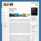 Odobenidae: Information