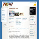 Orycteropus afer: Information