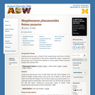 Neophocaena phocaenoides: Information