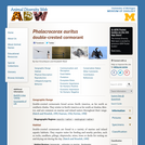 Phalacrocorax auritus: Information