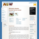 Micromys minutus: Information