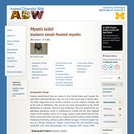 Myotis leibii: Information