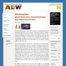 Mormoopidae: Information