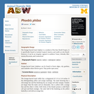 Phoebis philea: Information