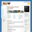 Myrmecophaga tridactyla: Information