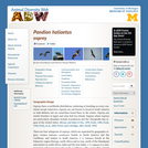 Pandion haliaetus: Information