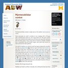 Myrmecobiidae: Information