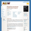 Mungotictis decemlineata: Information