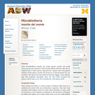 Microbiotheria: Information