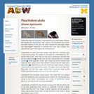 Paucituberculata: Information