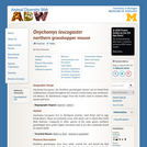 Onychomys leucogaster: Information