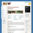 Microtus pennsylvanicus: Information