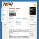 Parascalops breweri: Information